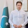 Saima Faiq profil fotoğrafı