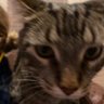 maooww's profile picture