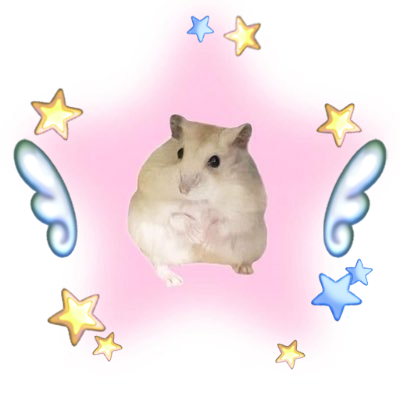 大きな夢's profile picture