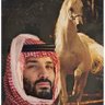الجويلـي's profile picture
