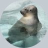 Profilbild von 僕はこんな音楽を聴いてきた@KAZ