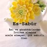 Profilbild von Miray Cüheylan 🇹🇷 Türbanıma dokunma
