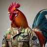 AKA Fatty Rooster 的头像