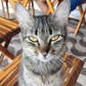 Alex profil fotoğrafı