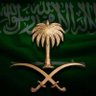 ASSA ALHARBE's profile picture
