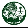 احمد الحربي's profile picture