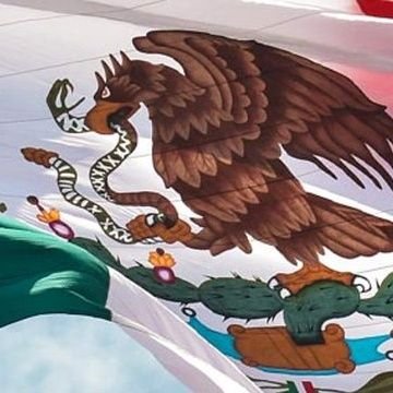@PonchoAviles's profile picture