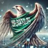 سـ ✨ ــ ـيف ☪︎ 的头像