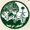 Фото профиля مريم