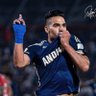 Profilbild von Capo Azul Falcaismo