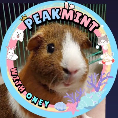 maprao22's profile picture