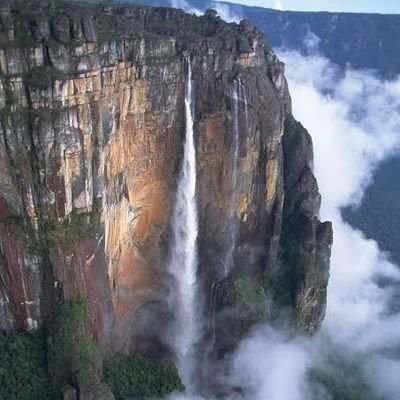 tnnewsupdates's profile picture