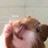 Danilu's profile picture