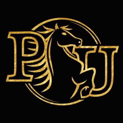 panchourestioficial's profile picture