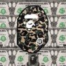 0xBapeApes 💵 的头像