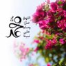 N🌸URA ♈️ 的头像