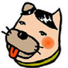 Profilbild von わんころもち