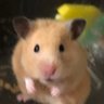 まいける's profile picture