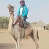 بن معروف الزرنوقي التهامي 的头像