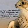 AbuAbdullah profil fotoğrafı