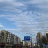 Afang profil fotoğrafı