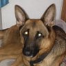 SunilParab's profile picture