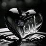 Mojahed's profile picture