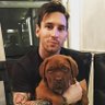 Theoo's profile picture