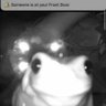 Gassy Trooper profil fotoğrafı