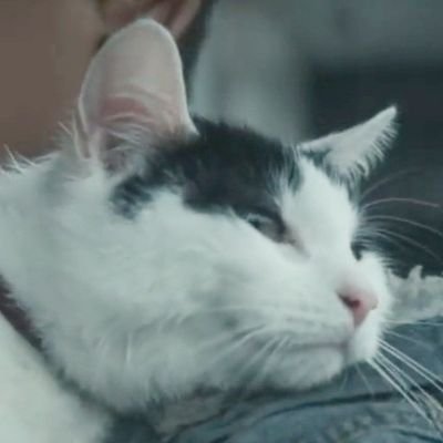 Nguang_'s profile picture