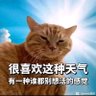 Фото профиля 白星