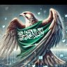 حسين الضوي profil fotoğrafı