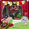 الطاوس عاشق الحياة's profile picture