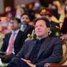 Muneer Mehar 🇨🇦's profile picture