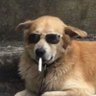 Quarter2T's profile picture