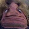 Profilbild von SurferChad