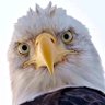 DeepState Watcherx2's profile picture