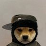 Rep's profile picture