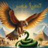 ضياء رضوان 的头像
