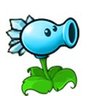 Profilbild von Snow pea