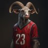 Profilbild von La cabra 23