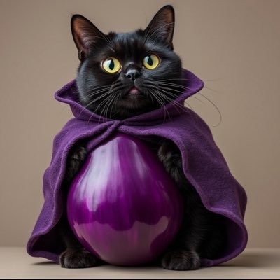 にゃこなす🍆🐈‍⬛'s profile picture