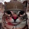 retrolikesdoodlin profil fotoğrafı