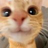Profilbild von Gabe