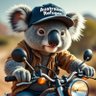 Australian Refugee profil fotoğrafı