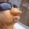Tanpa Nama's profile picture