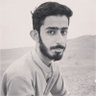 M Ibrahim 的头像