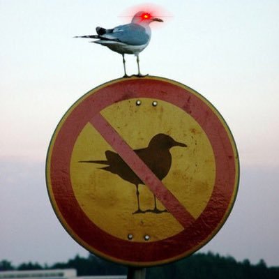 usa_nighthawk's profile picture