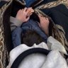 ليث profil fotoğrafı