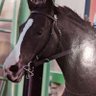 Фото профиля 🐴たのもんちゃっく🫰✋
